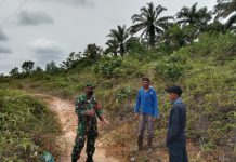 Larang Bakar Lahan, Babinsa Bersama Tim Gabungan Lakukan Patroli