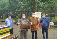 Potensi Budidaya Lebah Australi, dilirik Pemkab Kampar untuk dijadikan Usaha Masyarakat