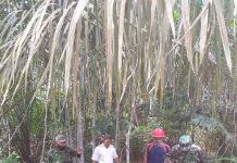 Patroli Karlahut Bersama RPK, Babinsa Koramil 04/Mandau Himbau Masyarakat Jangan Membakar Lahan