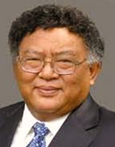 wimar-witoelar (1)