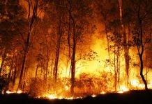 Riau Nihil Titik Panas, BMKG Catat Bengkulu dan sumatera Selatan