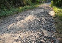 Bupati dan Wakil Bupati Pelalawan Blusukan Tinjau Jalan Rusak di Dua Desa