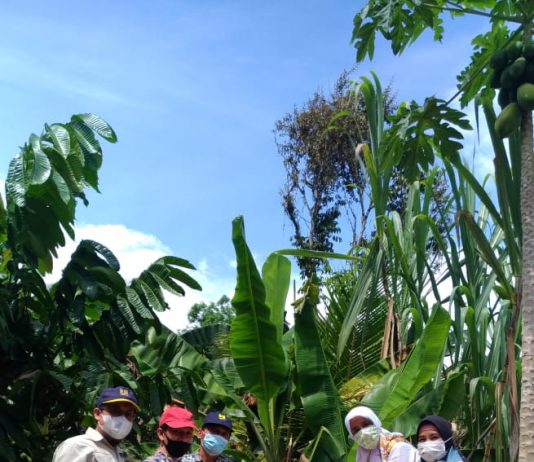 Tim Uji Fungsi Tinjau Lokasi Kelayakan Sarana HID Program Pamsimas Tahun 2021 di Desa Sei Kuning