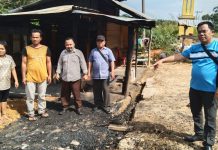 Rumah Beneami Nduru Dilalap Sijago Merah di Desa Pekan Tebih