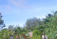 Terjadi Laka Lantas di Jalan Lebai Wahid Bengkalis Antara Mobil dan Sepeda Motor