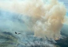 F-16 dari Skadron Udara 16/Rydder Temukan Titik Api Karhutla