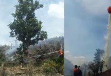 Ini Temuan di Lahan Terbakar Kampar, Apakah Kebun dalam HPK?