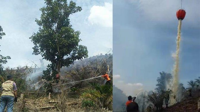 kampar lahan terbakar