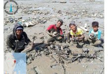 Sejumlah Tengkorak Muncul di Tepi Pantai, Apa yang Terjadi?