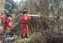 Tim Gabungan Padamkan Kebakaran Lahan di Sungai Apit, Siak