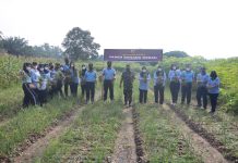 Komandan Lanud Rsn Turut Ikuti Panen Jagung dan Bawang Merah