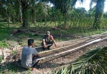 Babinsa Koramil 12/Sungai Raya Dampingi Petani Cabai