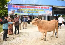 Lanud Rsn Salurkan 38 Hewan Kurban Di Idul Adha 1443 H