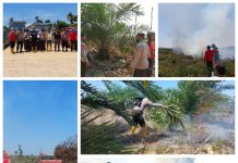 Sinergi Polri -TNI Bersama Manggala Agni Berjibaku Padamkan Api Di Kawasan Hutan Suaka Margasatwa Rimbang Baling Kuansing