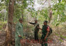 Antisipasi Karhutla, Babinsa Patroli dan Ingatkan Masyarakat