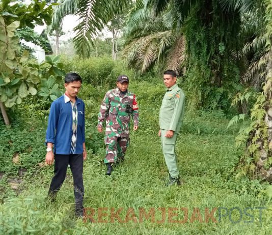 Babinsa Bersama Warga Giat Patroli Pantau Keadaan Lahan dan Hutan