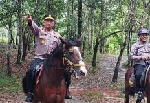 Sulit Dilintasi Motor, Polres Inhu Gelar Patroli Cooling System Dengan Menunggangi Kuda