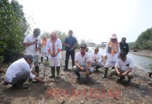 Dharma Wanita Persatuan Kanwil Kemenag Lampung Menanam Mangrove 100 Batang di Desa Sidodadi