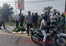 Pelajar SMP Meninggal Ditempat Usai Menabrak Truk Fuso