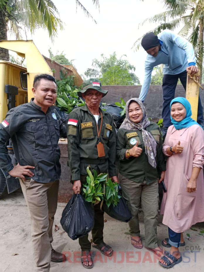 pku3