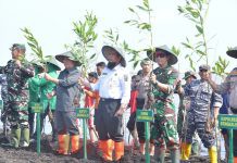 Kegiatan Penghijauan dan Penanaman Mangrove di Sambut Baik Oleh Bupati Bengkalis