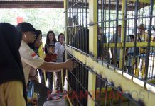 Wabup Bengkalis Bagus Santoso Kagum dan Meninjau Kondisi Beruang Madu Yang Ada Dikebun Binatang Pantai Indah Selatbaru