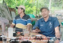 Heboh,,, KUK PT IIS Menerima Pekerja Tanpa Identitas dan Tidak Mengurus BPJS Pekerja