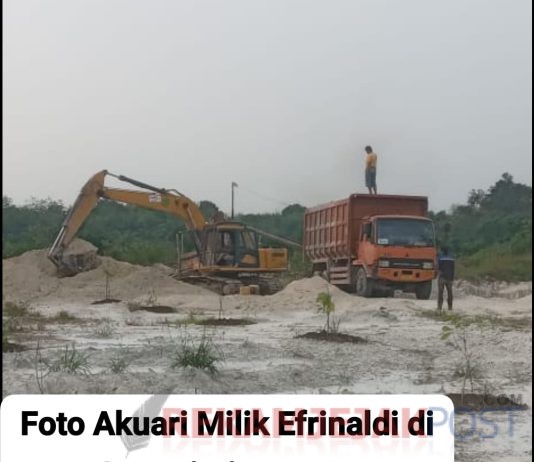 Daeng Johan Ketua DPP PPRI Minta APH ke Lokasi Penambangan Quari Yang Diduga Kuat Ilegal dan Tangkap Pemiliknya ‘Efrinaldi’