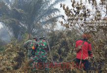 Personel Koramil jajaran Kodim 0321/Rohil bersinergi dengan Tim Gabungan lakukan Verifikasi dan Pemadaman Titik Api di wilayah Rohil