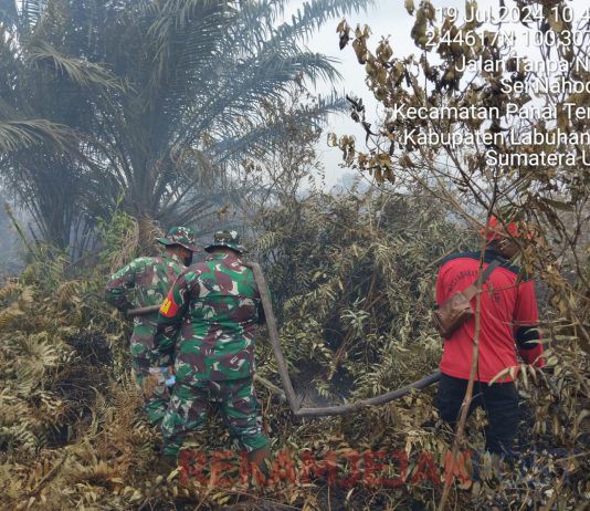 Personel Koramil jajaran Kodim 0321/Rohil bersinergi dengan Tim Gabungan lakukan Verifikasi dan Pemadaman Titik Api di wilayah Rohil