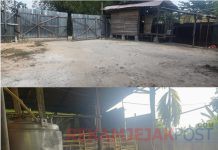 Kasihan, Usaha Ikan Lele dan Minyak Serai Diberitakan Gudang BBM