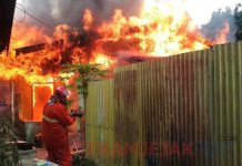Si Jago Merah Berkobar Habis Hanguskan tiga Unit Rumah Warga, Kel Tanjung Palas, Kec Dumai
