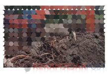 Berita Klarifikasi: Oknum TNI Andre Bantah Keterlibatan Dalam Tambang Emas Ilegal Di Ketapang