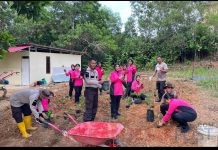 Dukung Program Pemerintah Ketahanan Pangan Nasional Polsek Kota Polresta Tanjungpinang Buka Lahan Tidur