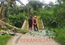 Kabid Kedaruratan Dan Logistik BPBD Kabupaten Bogor M Adam Hamdani Mengatakan Peristiwa Itu Terjadi Pada Jumat (29/11) malam