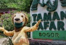 Cek HTM dan Cara Berkunjung di Taman Safari Bogor, Libur Lebaran 2025