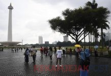 Dishub Akan Menindak Kendaraan yang Parkir Liar di Jalan, Imbau Agar Parkir di Lokasi Resmi