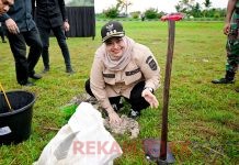 Bupati Bengkalis Ikuti Kegiatan Penanaman 10.000 Pohon