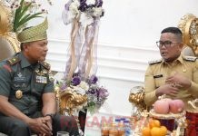 Bupati H Zukri SM Sambut Kunjungan Danrem 031/Wira Bima ke Pelalawan
