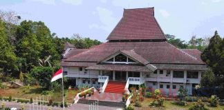 Cerita Mahasiswa Undip Magang di Jepang Digaji sampai Rp 25 Juta Sebulan