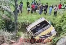 Kecelakaan Beruntun di Jalintim Pelalawan, Pasangan Suami Istri Tewas Tertimpa Mobil Box
