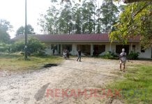 Kapolres Siak Imbau Warga dan Perusahaan Waspada Pergerakan Gajah Liar
