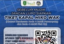 Sebelum Mudik Lebaran, Kendaraan Roda Empat Harus Siapkan Tiket Lewat Aplikasi TRIPS Bengkalis