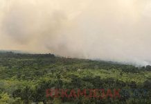 Waspada El Nino 2026, Pemprov Riau Turunkan Tim Pantau Daerah Rawan Kekeringan