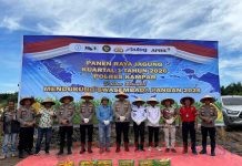 Panen Raya Jagung di Kampar, Sinergi Polres dan Dunia Usaha Perkuat Swasembada Pangan