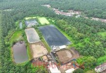 PalmCo Andalkan Dua PLTBg Tekan Biaya Energi di Tengah Gejolak Global