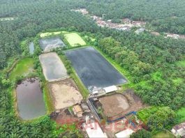 PalmCo Andalkan Dua PLTBg Tekan Biaya Energi di Tengah Gejolak Global