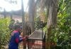 BBKSDA Riau Langsung Bertindak Setelah Laporan Dari Warga Tembilahan