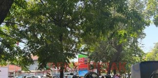 Krisis BBM Di Bali, Masyarakat Bertanya: Ke Mana Pemerintah? Beli Tunai, Bukan Berutang!